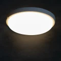 536b1e6ee6a03a5981016b3881c82168