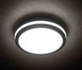 383c601cef06924076df409db9e1681b