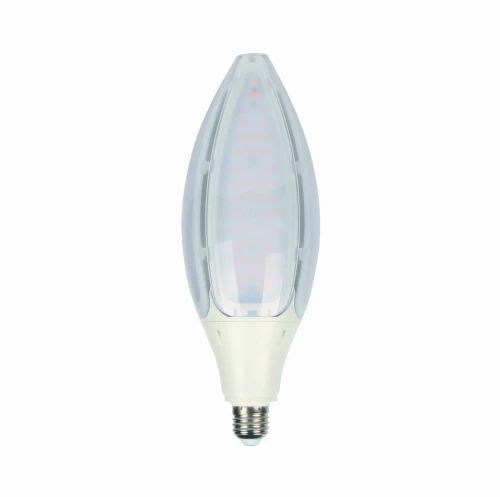 EC79763.jpg