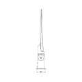 EC79909.4.jpg