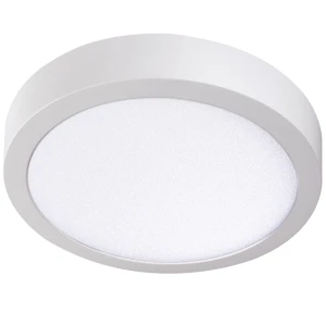 CARSA V2LED 24W-NW-W