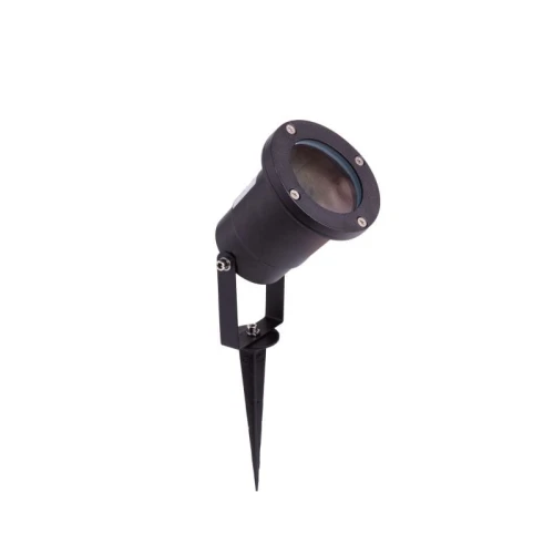 EC79018.jpg