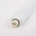 EC79946.3.jpg